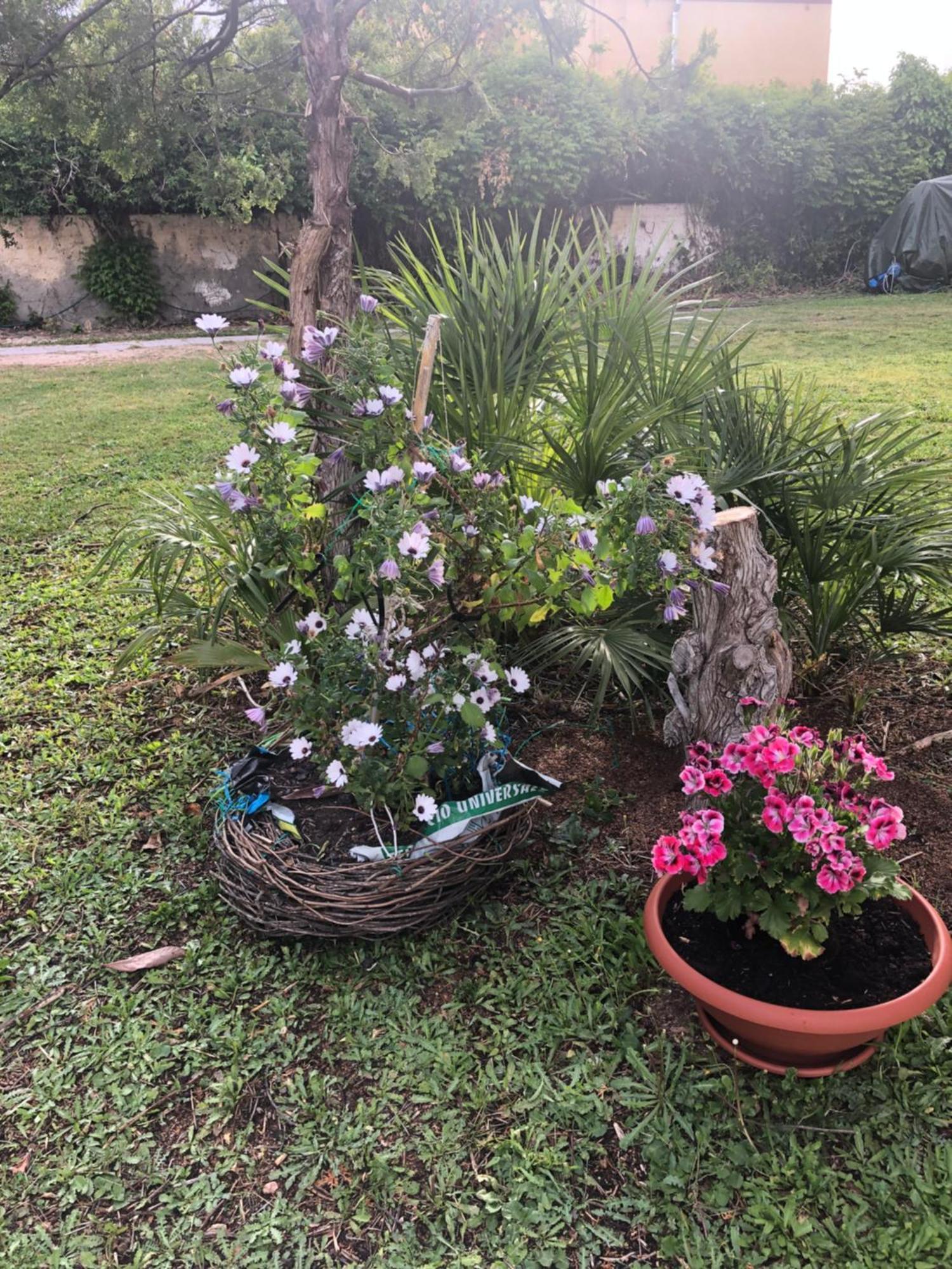 مبيت وإفطار فلوميني دي كوارتو La Lantana Nuova المظهر الخارجي الصورة